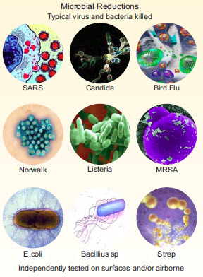 Types of germs killed by the RGF Guardian Air Purifier